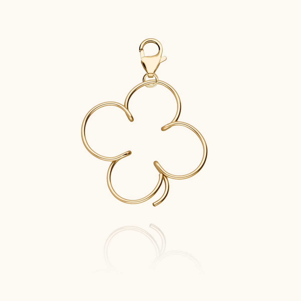 Big Locket Lucky Charms