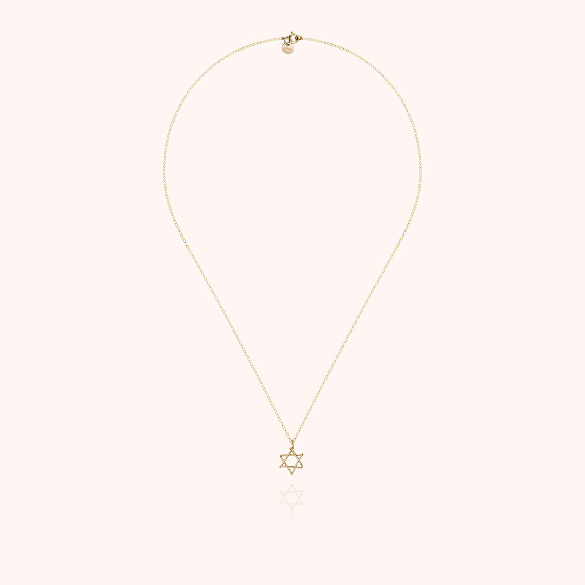 Collana Charms Simbolico Stella di David in filo d'oro giallo laminato 14k, portata al collo